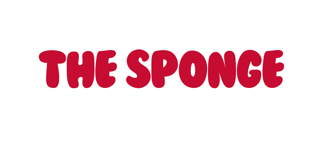 the sponge